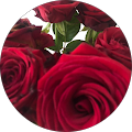 Avatar de Melisandre.e