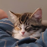 Photo of Kaelon Ross