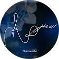 Avatar de Ajisai.h