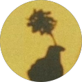 Avatar de Aimel.e