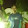 Deepak Ojha's profile photo