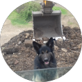 Billericay Farm Services Ltd - Billericay