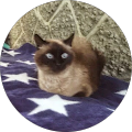 Avatar de David.o