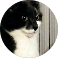 Avatar de Roger.t