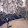 pmaya...@gmail.com's profile photo