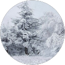 Gytis Simaska profile photo