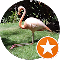 Avatar de Dalabia.c