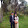 nguyenvanphong099's profile photo