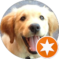 INSURANCE COLLECTIVE, LLC - Denver, Colorado