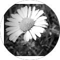 Avatar de marie-jo.