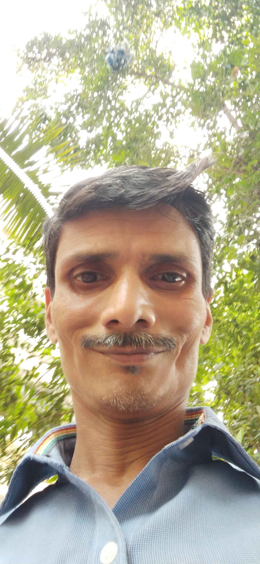 vinod cheke