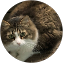Kimberly Sterling's profile image