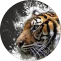 Avatar de Jonathan.N
