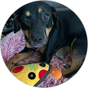 Avatar des Bewerters