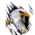 Avatar de Yves.e