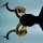 johnnie...@gmail.com's profile photo