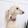 Victor Nemkov's profile photo
