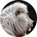 Avatar de ABDELHAKIM.R