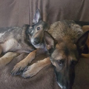 tarasmith6904@gmail.com