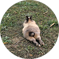 Avatar de Michèle.i