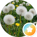 Anni VonMi avatar