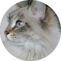 Avatar du profil de Lorena Nanni