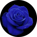Deidra Gadberry - State Farm Insurance Agent - Clanton, Alabama