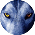 Avatar de Leloup.r