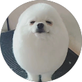 양태경