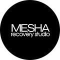 Mesha Recovery Studio