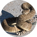 Spindle Cooling & Warehousing LLC - San Luis, AZ
