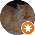 Attach Psychology - Ashmore, Queensland