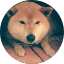進捗ダメです