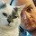 Riccardo Pelizzi's profile photo