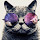 David Lucas's profile photo