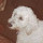 hydr...@gmail.com's profile photo