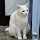 Eng Shei Yin's profile photo