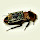 Gregor Samsa's profile photo