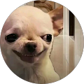 T J