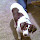 1mg...@gmail.com's profile photo
