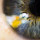 Daniel Trattner's profile photo