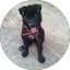 Gabriele Rizzo Avatar
