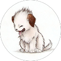 Community member