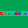 caudep88