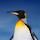 lusher00's profile photo