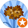 Vilma Liz Reveron-Flores
