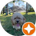 Gotfloor Com - Santa Clara, California