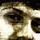 asif alam's profile photo