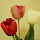 Sathish's profile photo