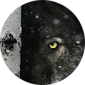 Avatar de Michael.a